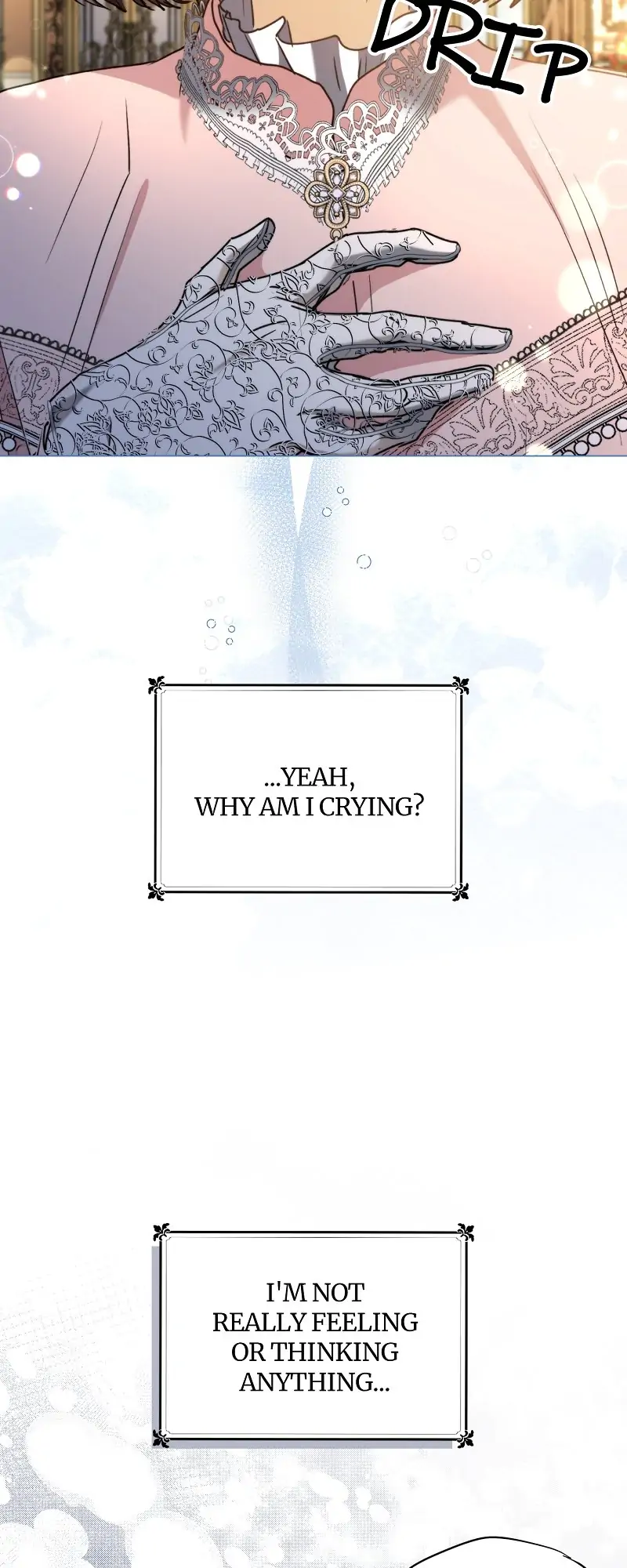 40866279 800 2000 104078