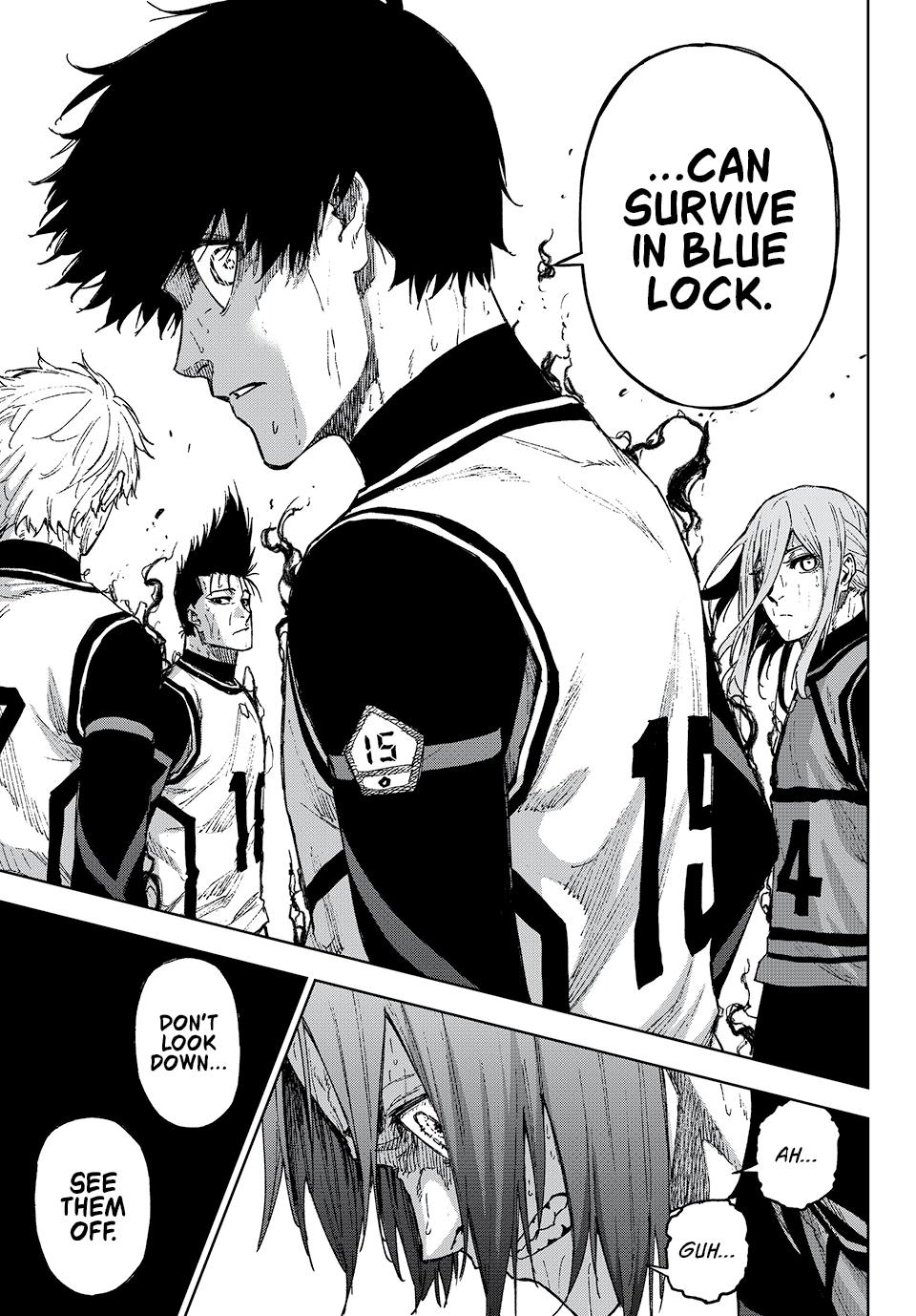 70863051 960 1378 261534