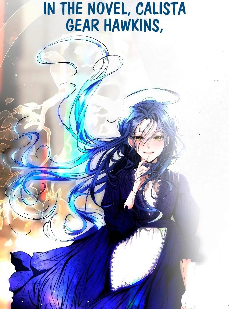 74288311 800 1080 134764